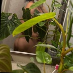 plantfeetpics avatar