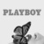 Playboi 96 avatar