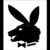 PLAYBOY 😈 avatar