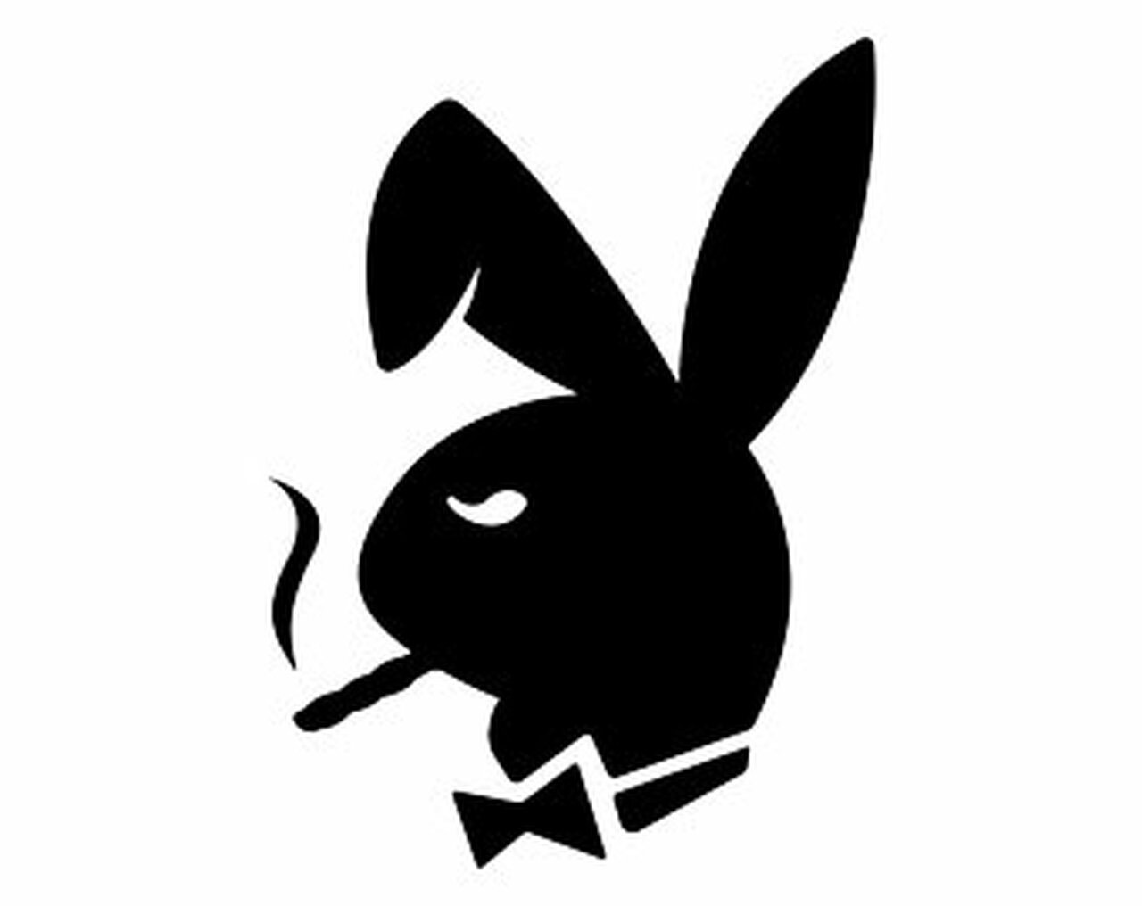 PlayboyTheAquariuS banner image