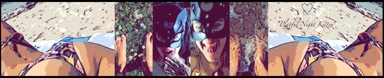 Playful_night_kitten banner image