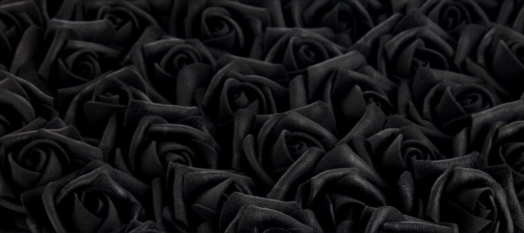๐คAlly๐ฅ banner image