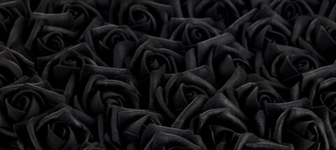 🖤Ally🥀 cover image