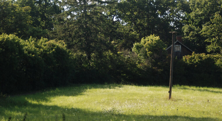 plebian banner image