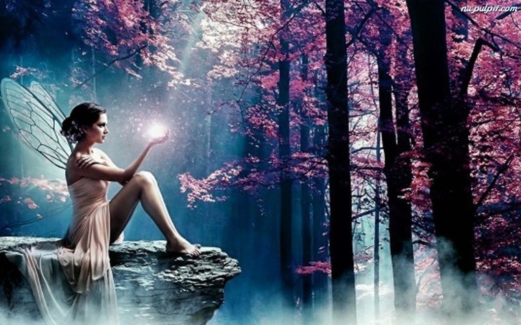 PleiadianAngel cover image