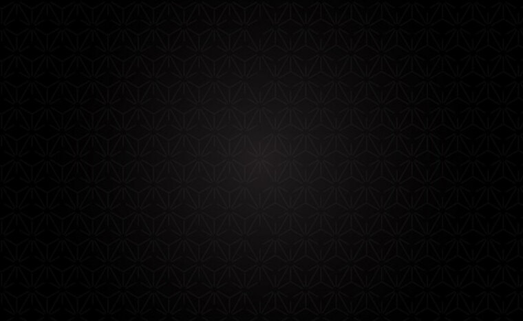 Plid.th cover image