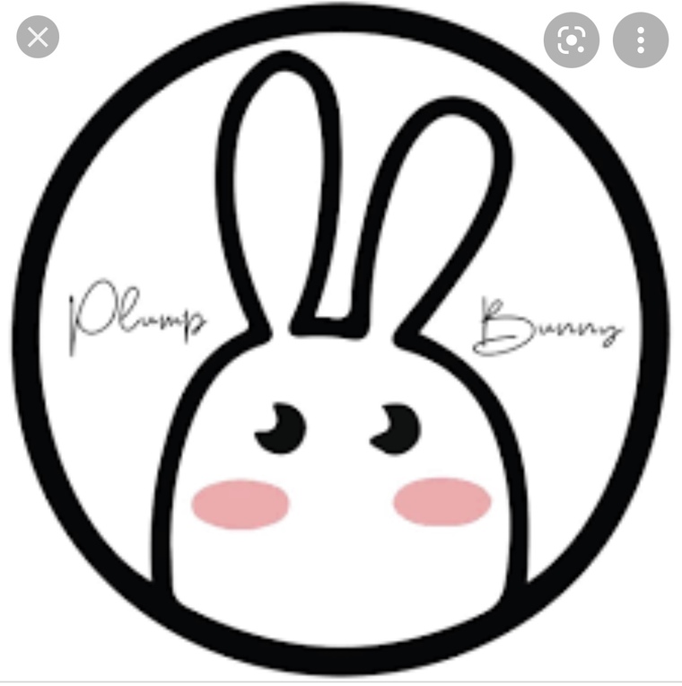 Plump Bunny banner image