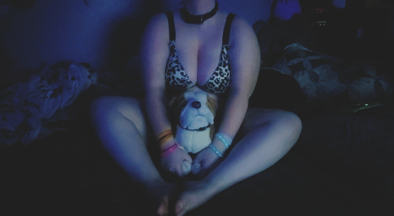 PlushPuppie banner image