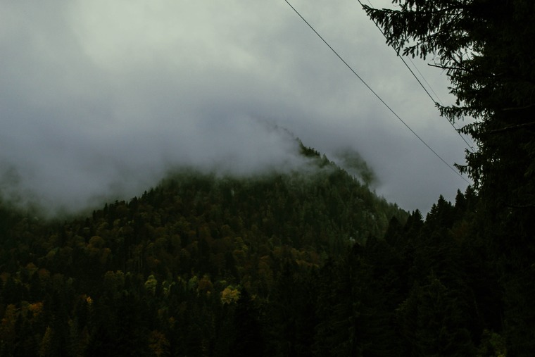 Pluviophile cover image