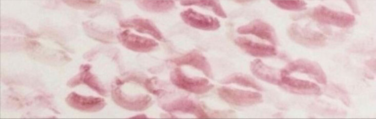 Terri π banner image