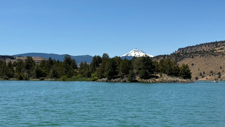 PNWVixen82 banner image