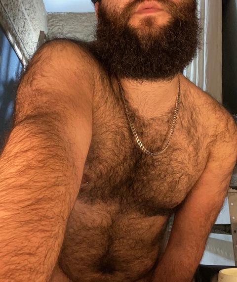 PocketBear cover image