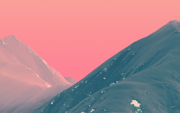 MissGrippers banner image
