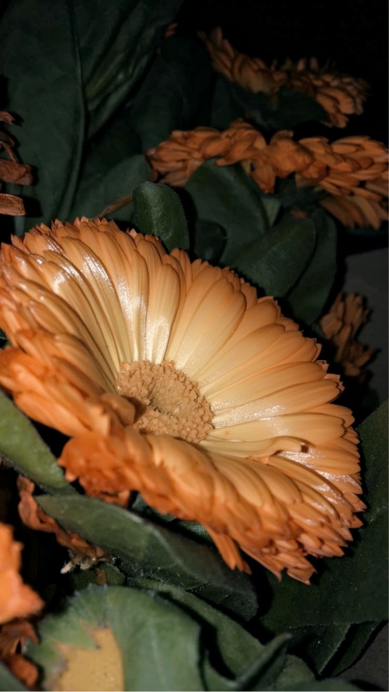 BB cover image