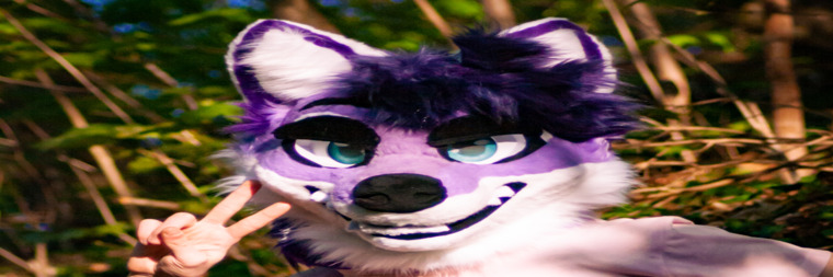 Polar banner image