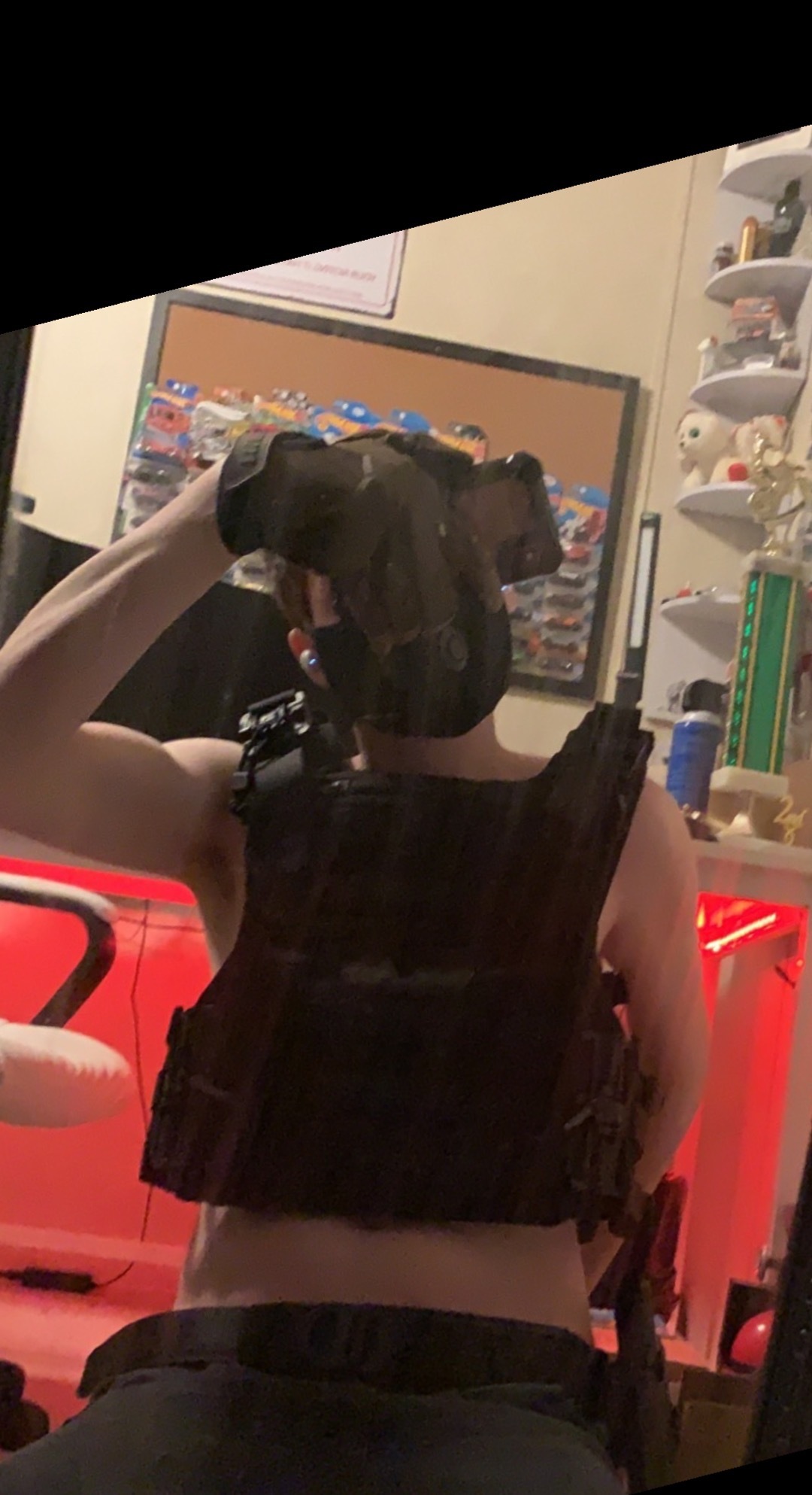 Dustbunny banner image
