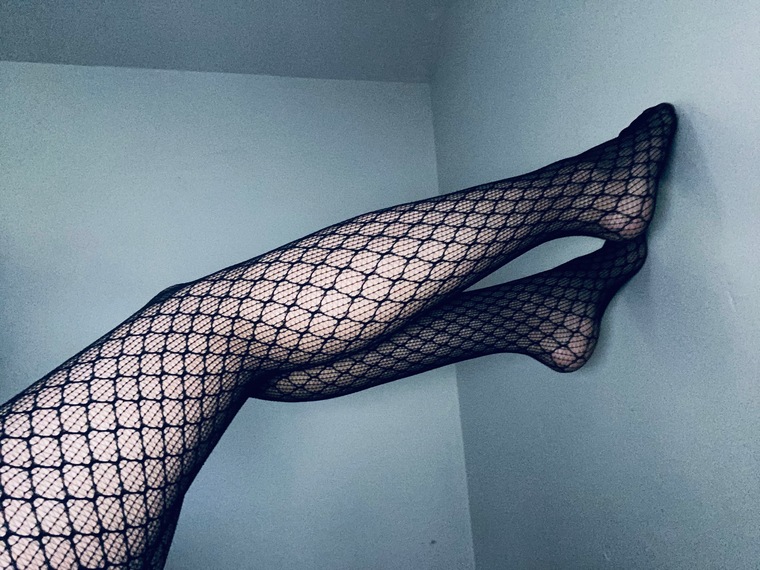 Ms.TipToes cover image