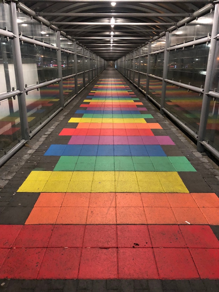 polishtwink00 cover image
