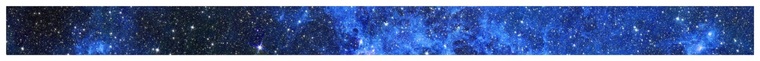 Polly indigo banner image