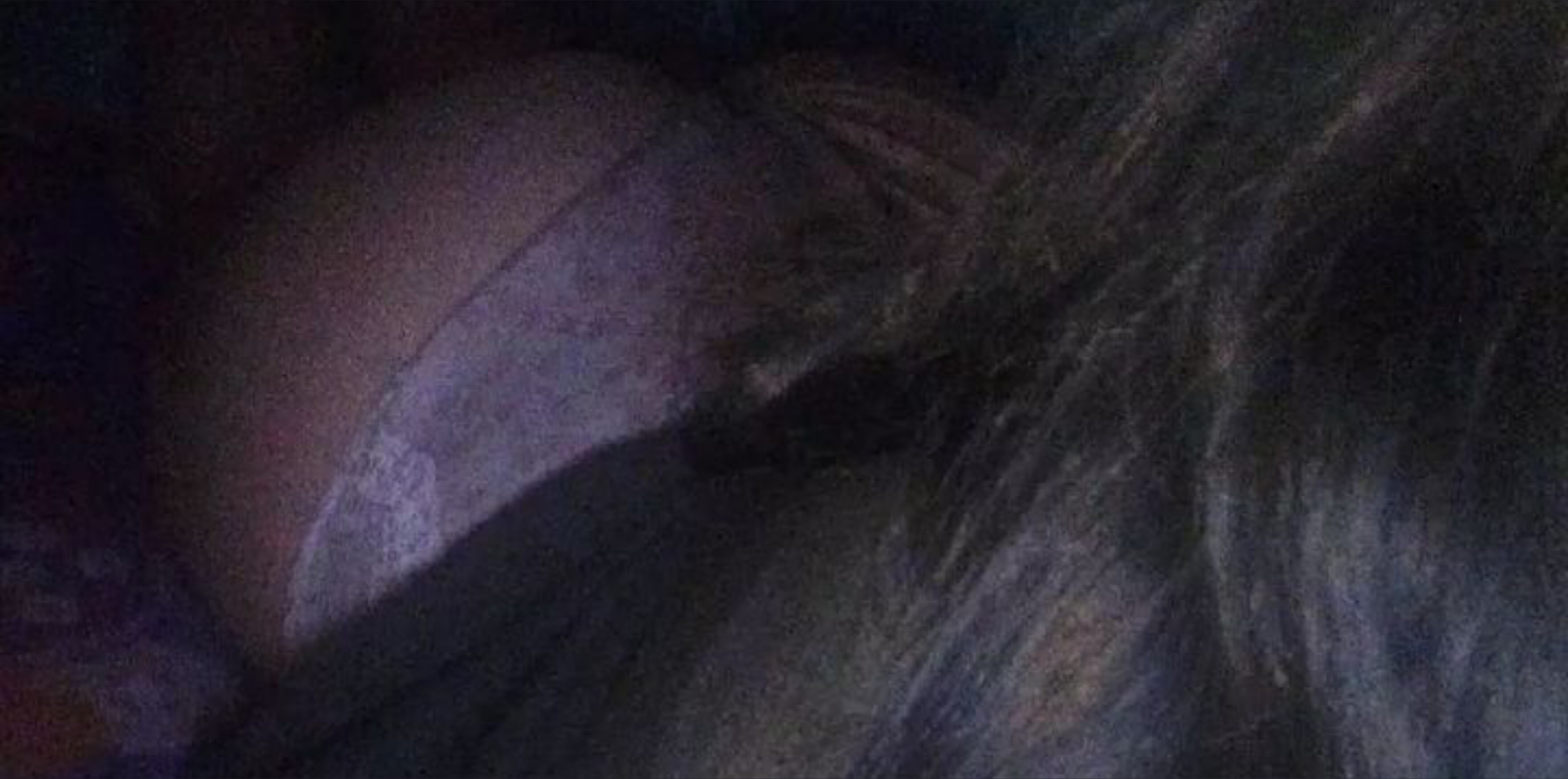 Lola petite banner image