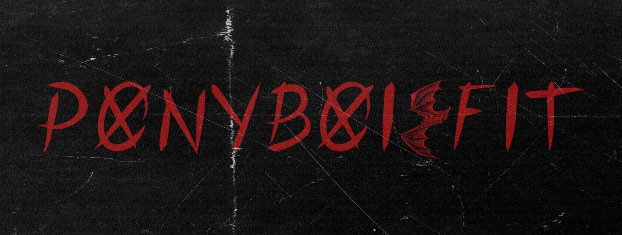 Ponyboi banner image