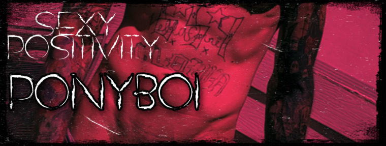 Ponyboi cover image