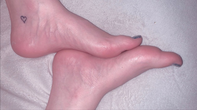 Porcelain Paws cover image