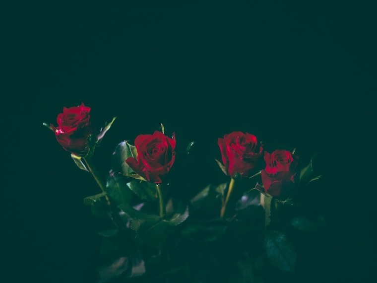 Porcelain Rose banner image