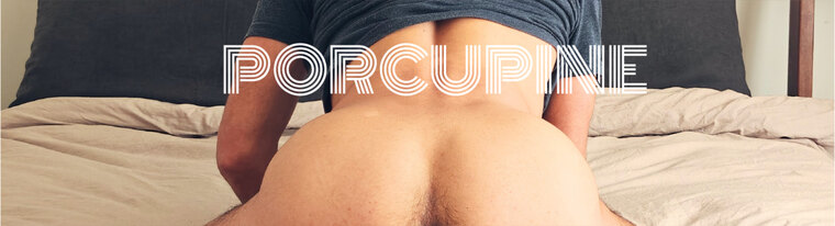 porcupine cover image