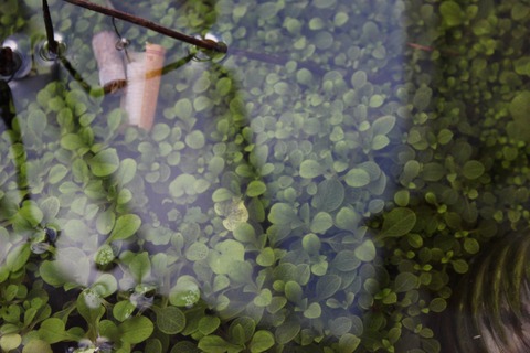 Porter Photography cover image