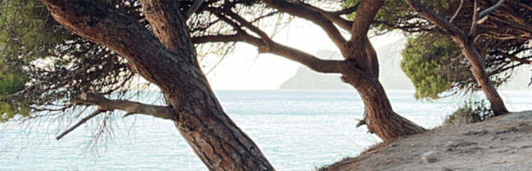 portugueseforyou cover image