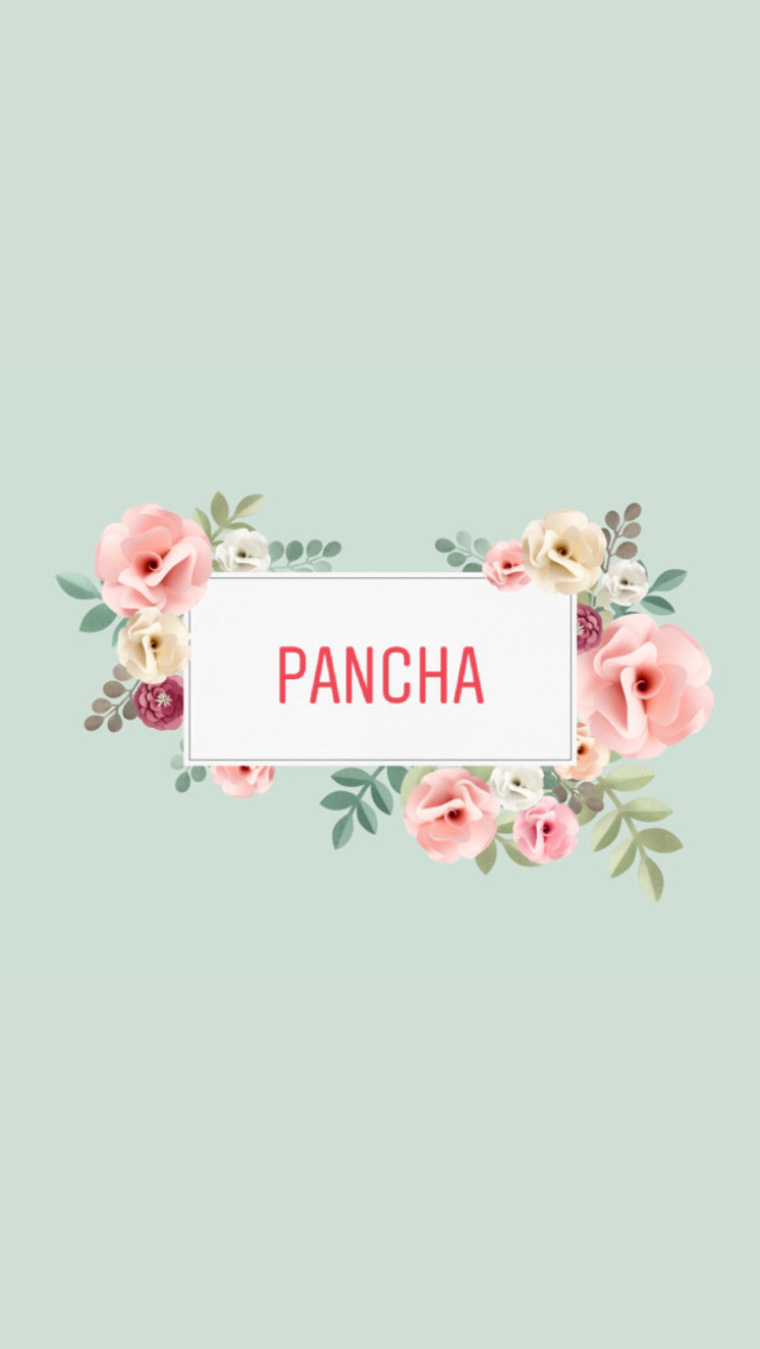 Pancha π banner image
