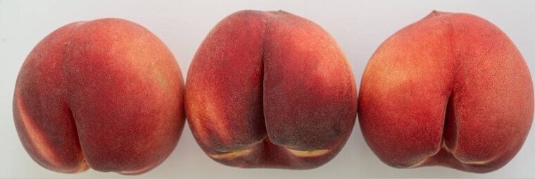 Pound That Peach cover image