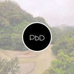 PbD avatar