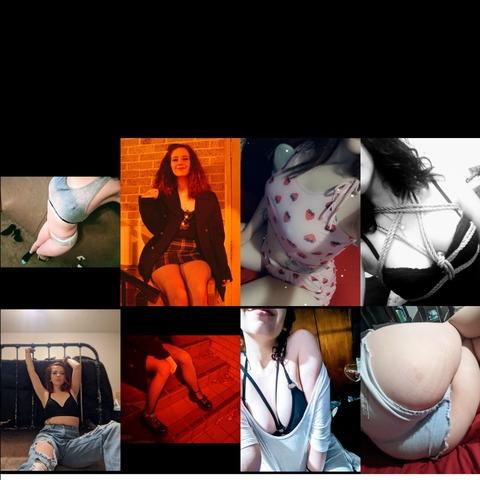 Jazmine thyme cover image
