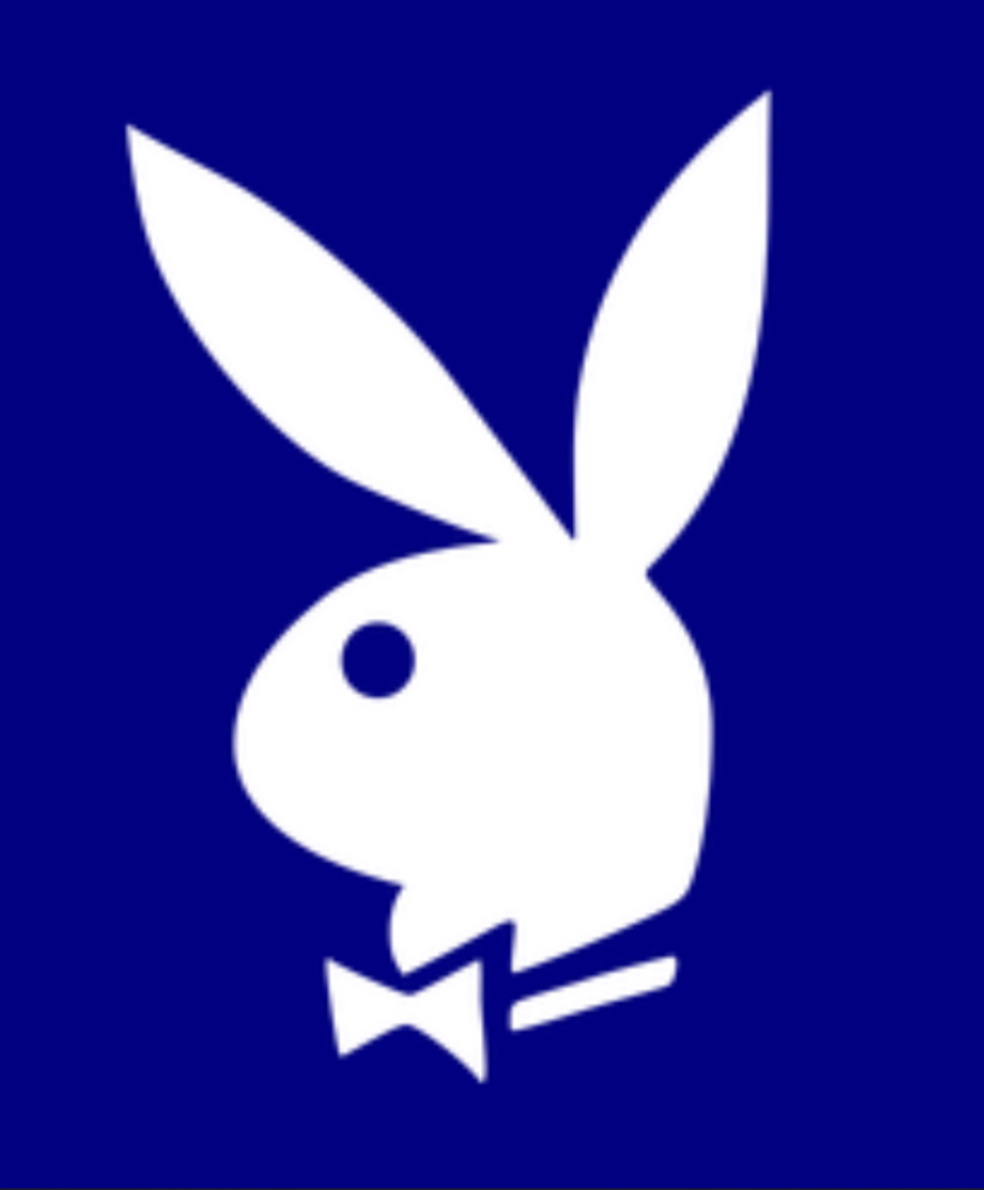 PovJay banner image