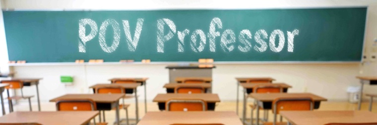 POVProfessorVIP cover image