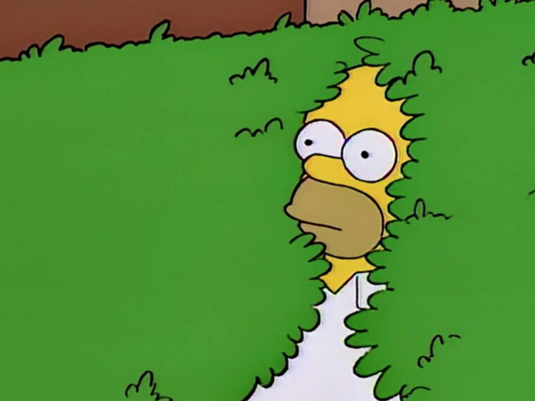 Steve banner image