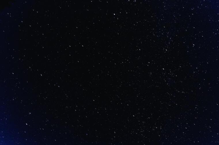 Poxxy banner image