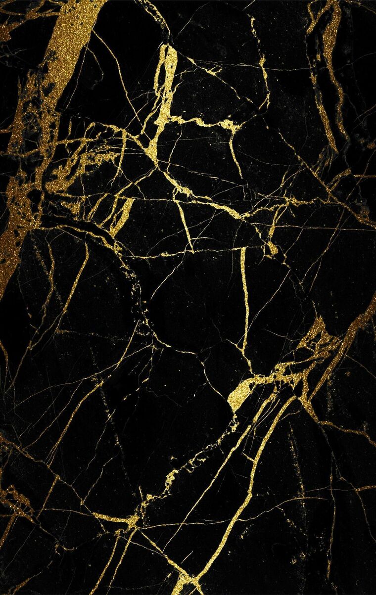 Katherine Newman cover image