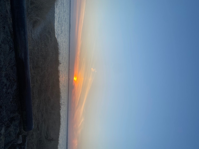 Donna cover image