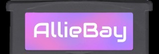 Pregnant Allie banner image