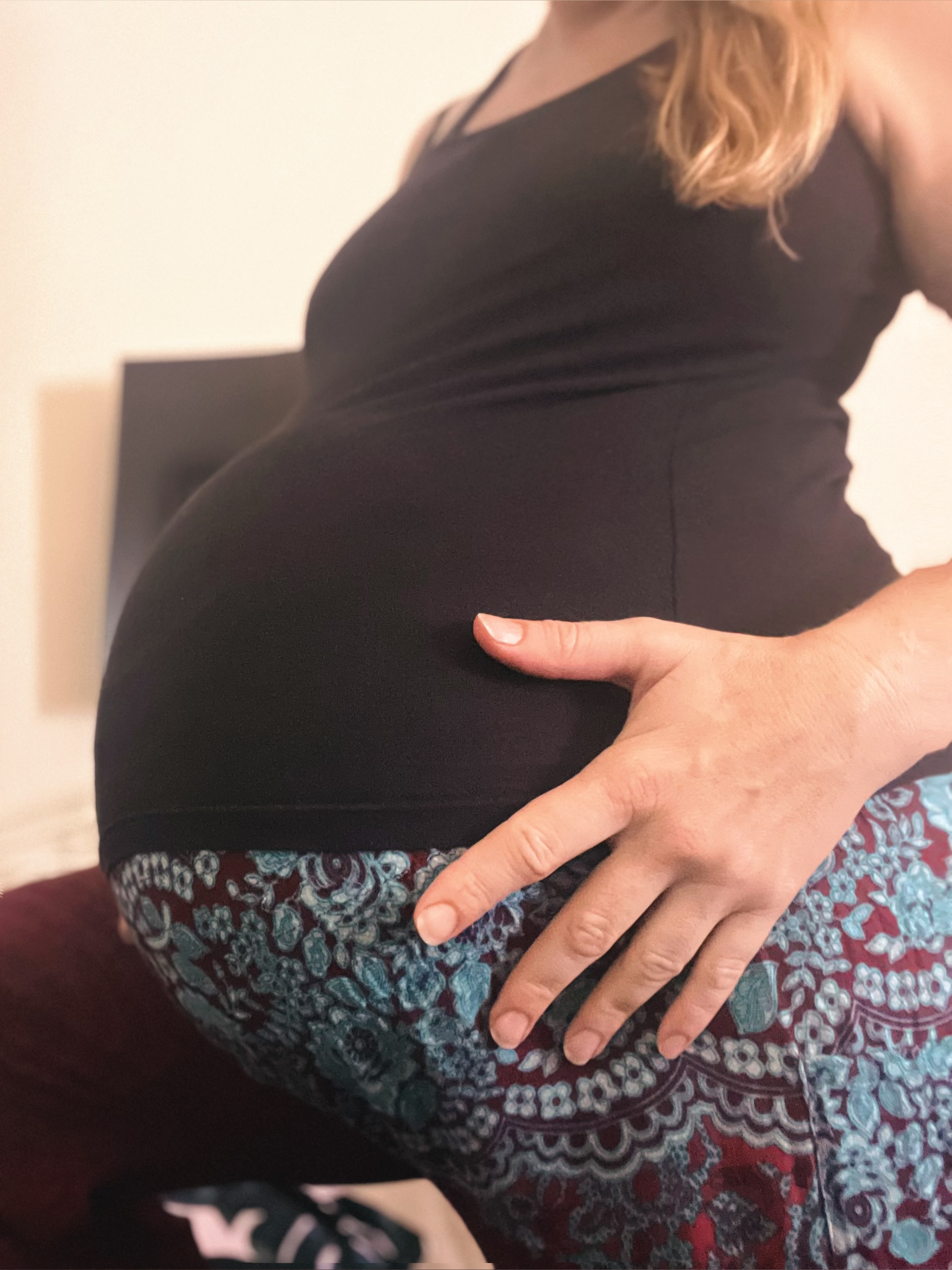 Pregnant English Rose banner image
