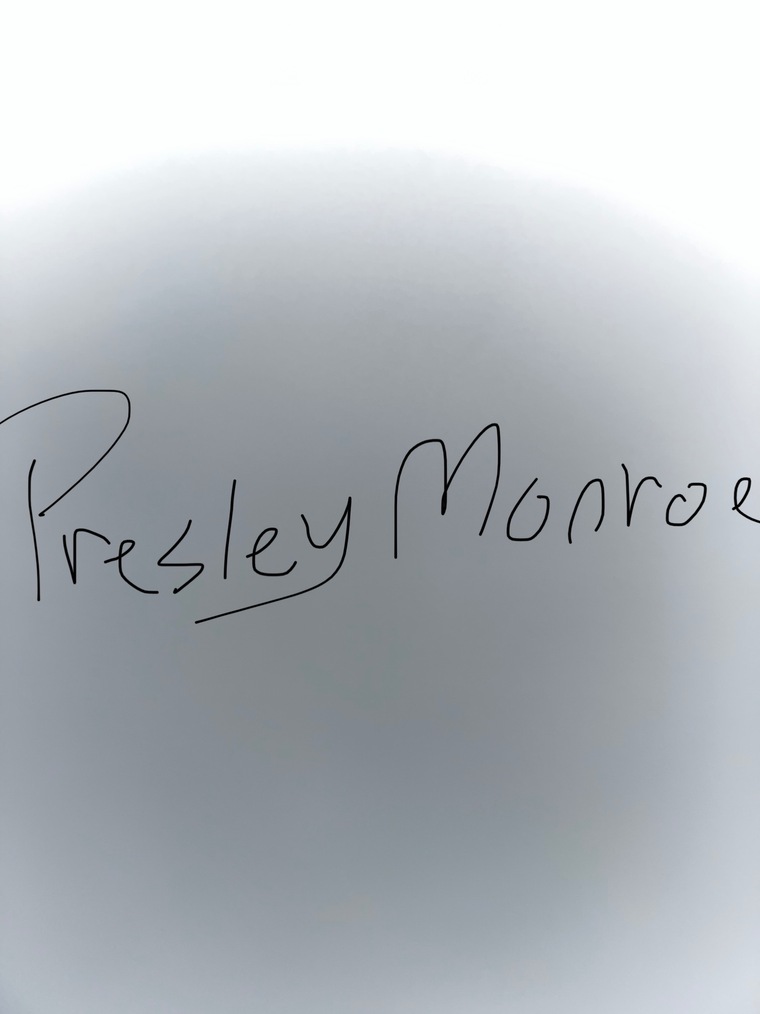 Presley Monroe banner image