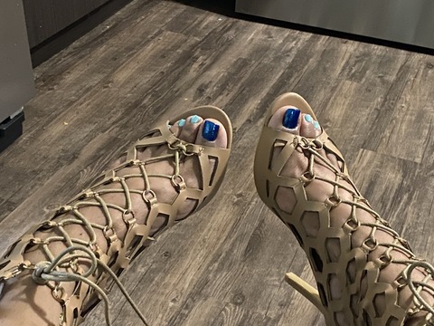 Ms Pretty Toes cover image