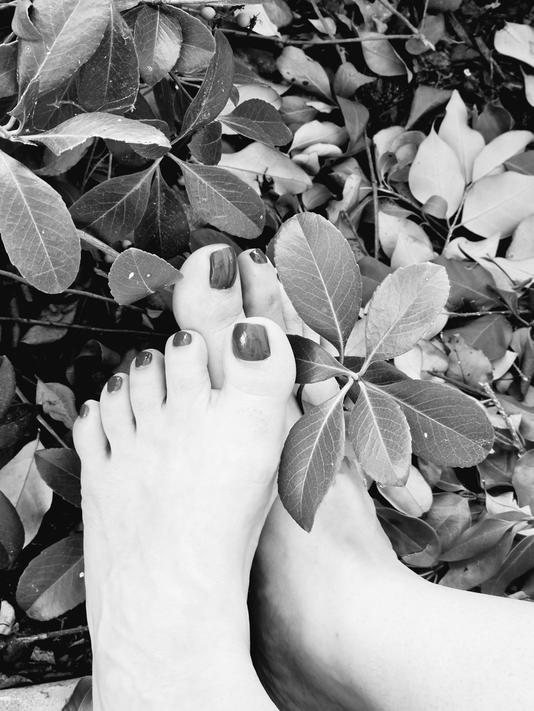 Pretty Pedi cover image