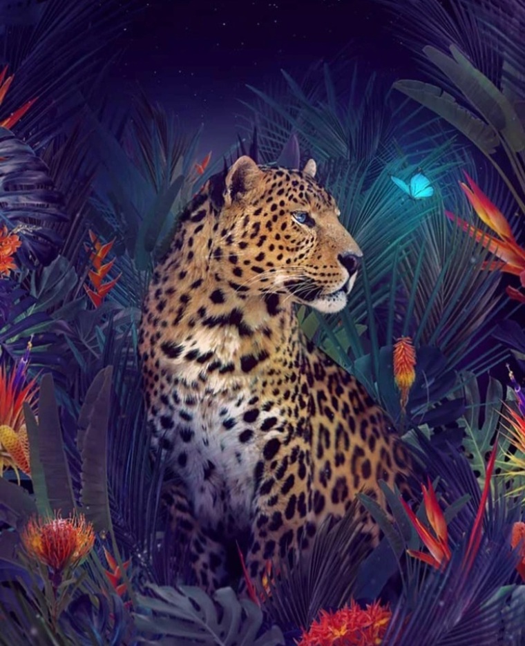Pretty Paws cover image