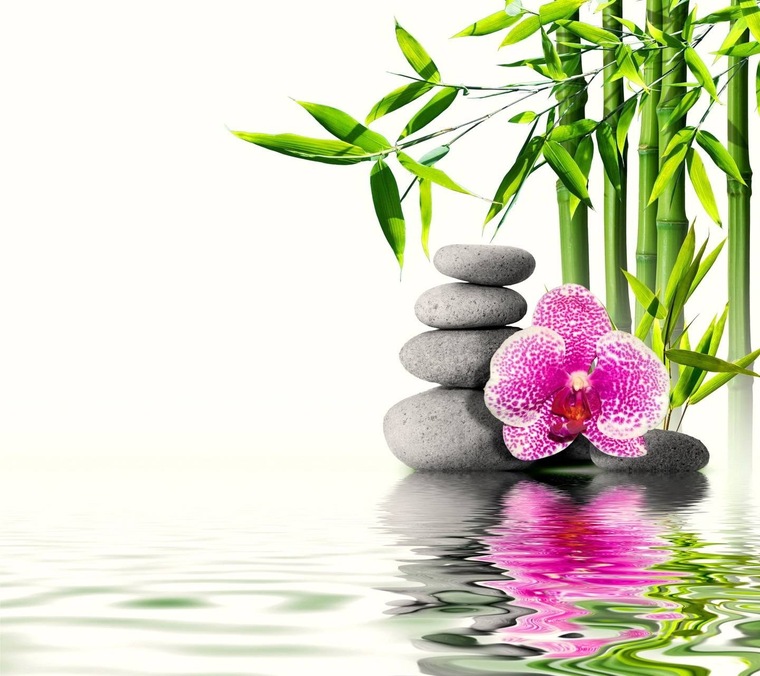 Pretty_Slim_Feet cover image