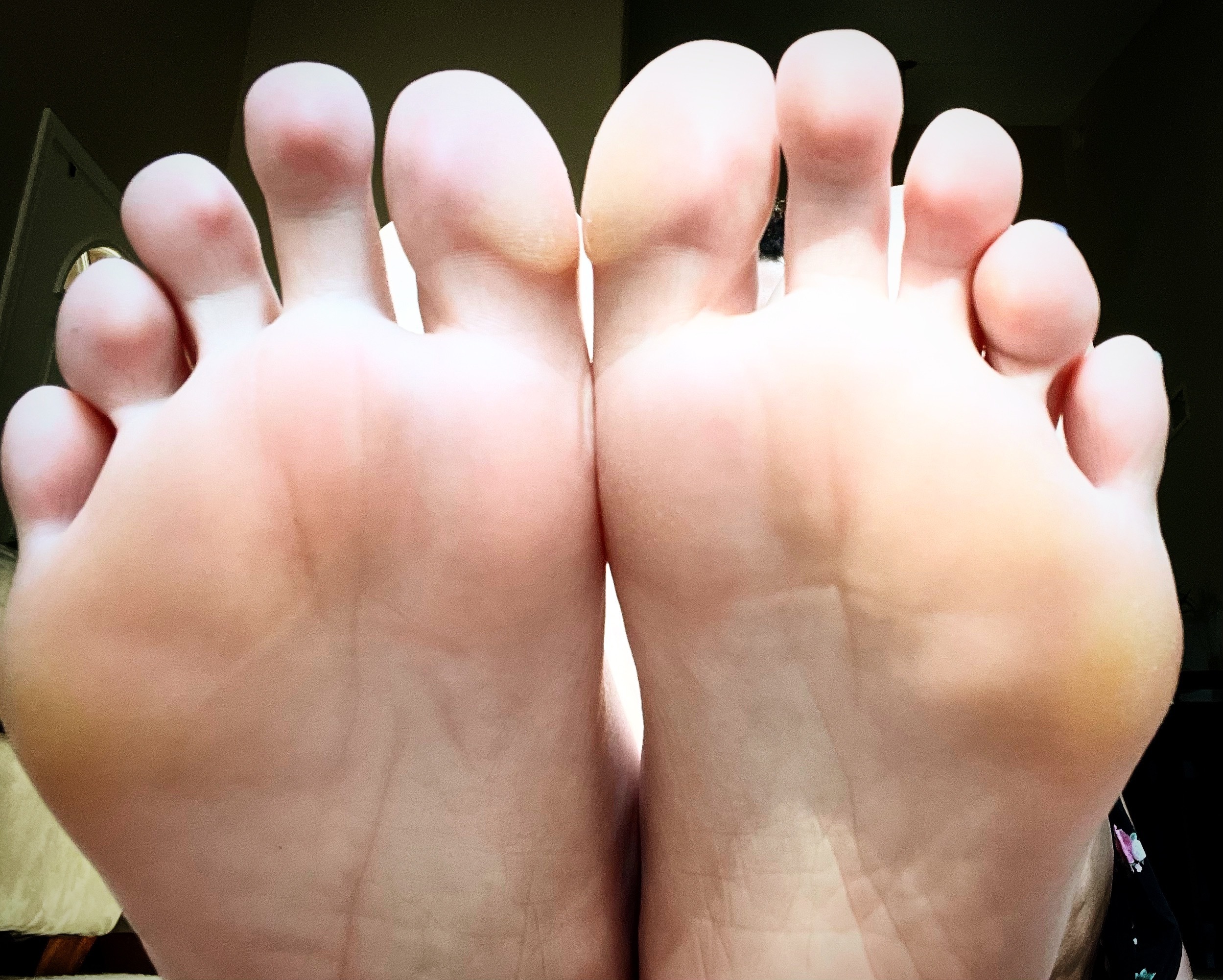 Sariah banner image