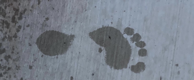 Pretty Foot cover image